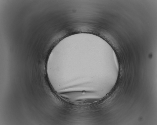 X0000094170453200711241534