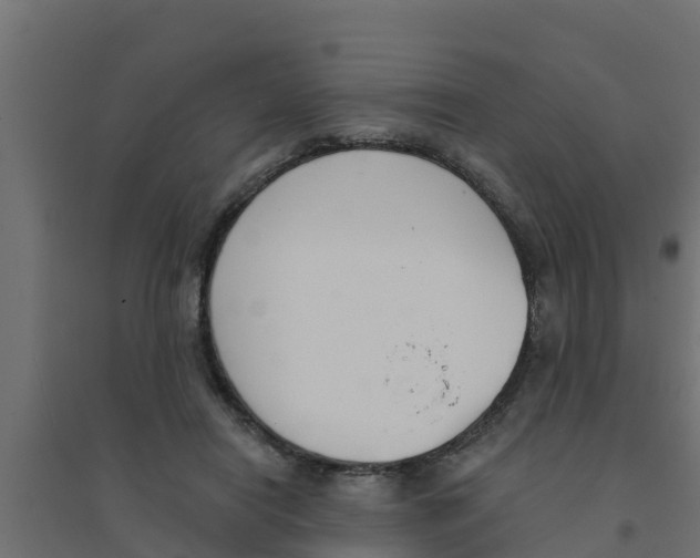 X0000094170454200711241534