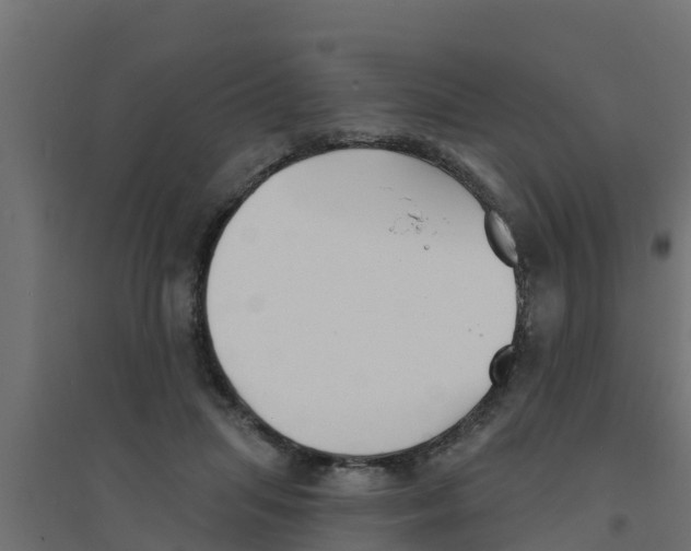 X0000094170455200711241534