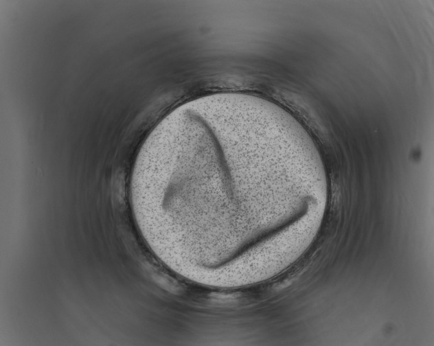 X0000094170457200711241534