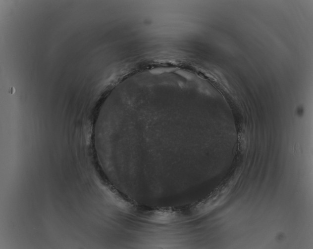 X0000094170458200711241534