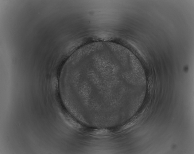 X0000094170459200711241534