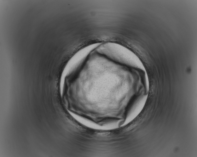 X0000094170461200711241534