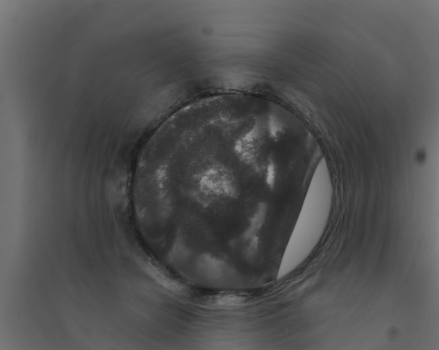 X0000094170462200711241534