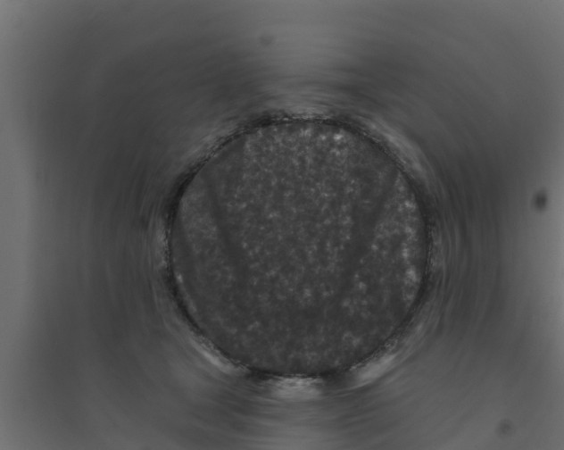 X0000094170465200711241534