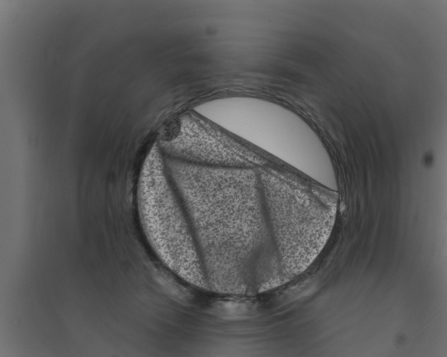 X0000094170466200711241534