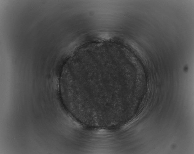 X0000094170467200711241534