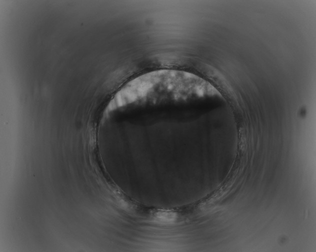 X0000094170471200711241534