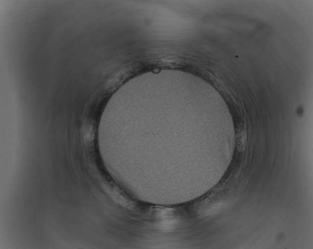 X0000094170472200711241534