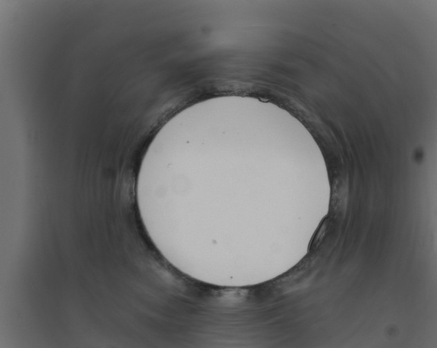 X0000094170474200711241534
