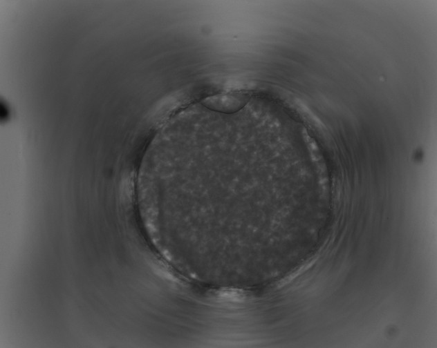 X0000094170475200711241534