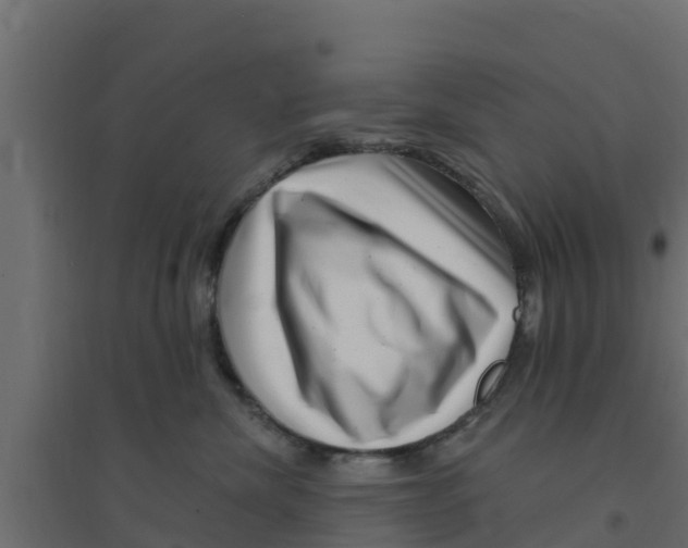 X0000094170476200711241534