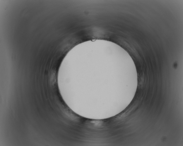 X0000094170478200711241534