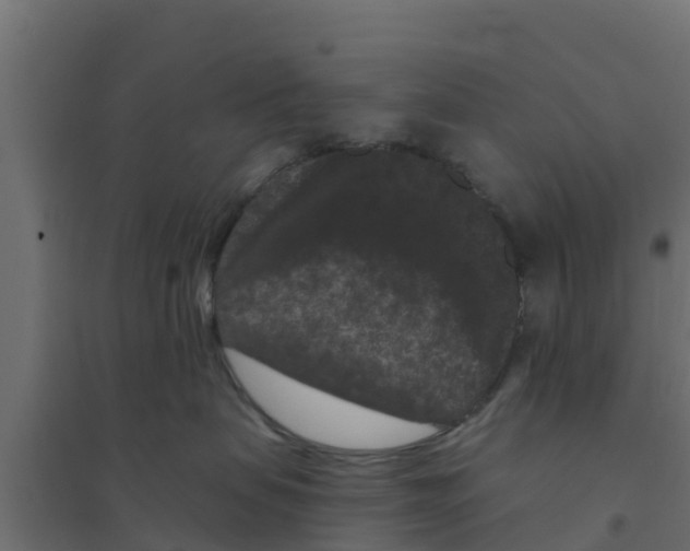 X0000094170479200711241534