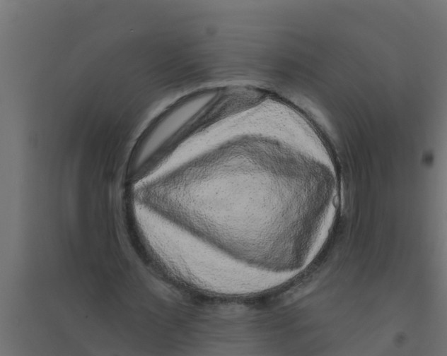 X0000094170483200711241533