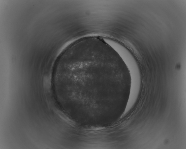 X0000094170484200711241533