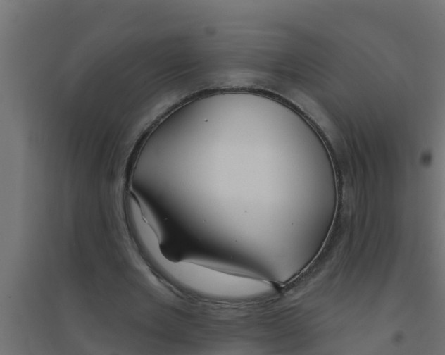 X0000094170485200711241533