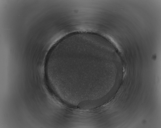 X0000094170488200711241533