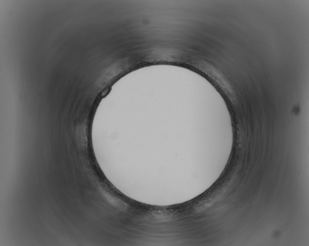 X0000094170489200711241533