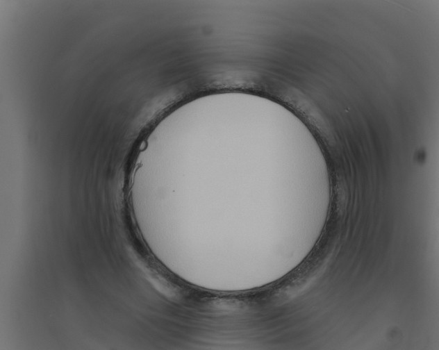 X0000094170490200711241533