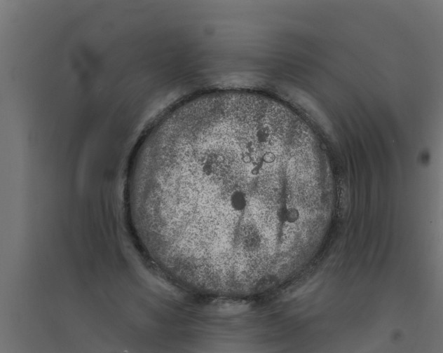 X0000094170491200711241533
