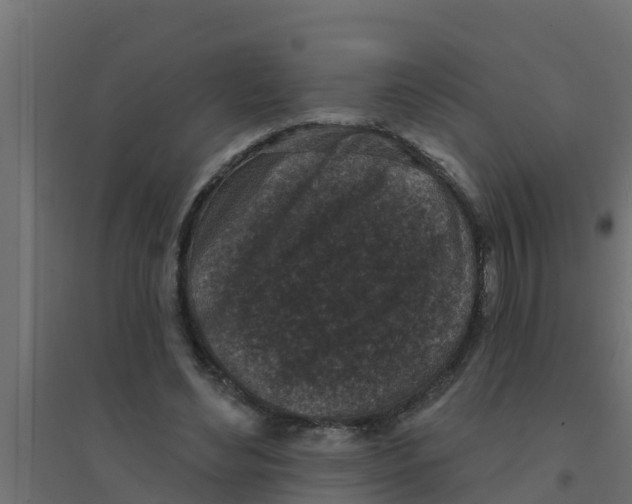 X0000094170492200711241533