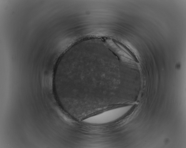 X0000094170493200711241533