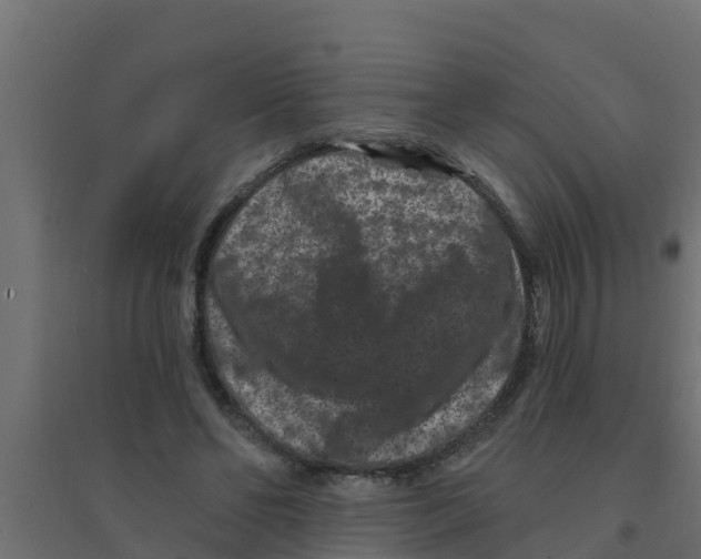 X0000094170494200711241533