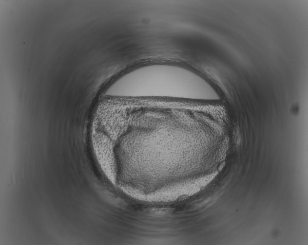 X0000094170495200711241533
