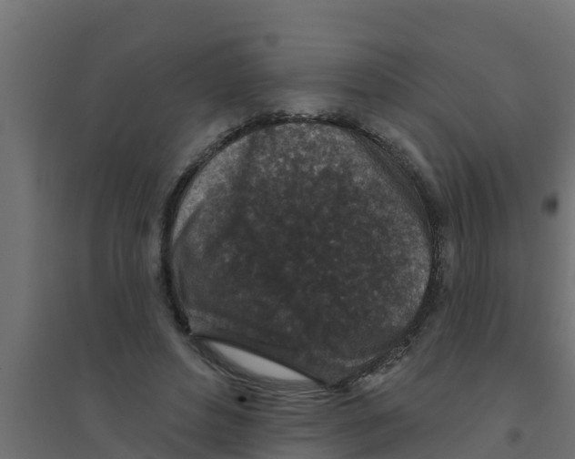 X0000094170496200711241533