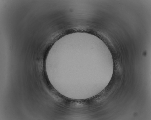 X0000094170498200711241533