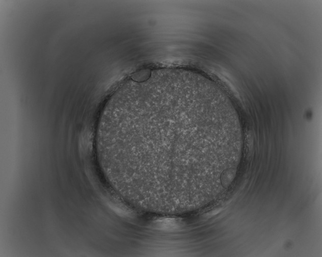 X0000094170499200711241533
