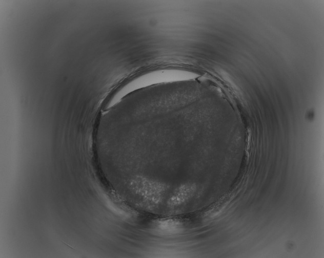 X0000094170500200711241533