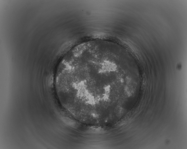X0000094170502200711241533