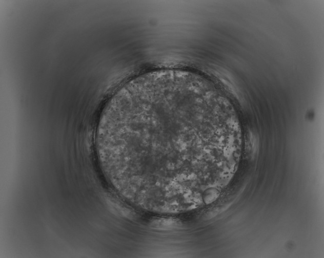 X0000094170503200711241533