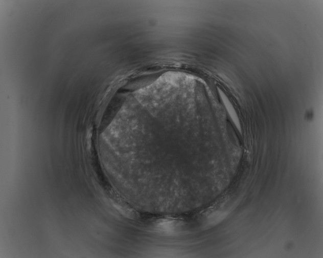X0000094170504200711241533