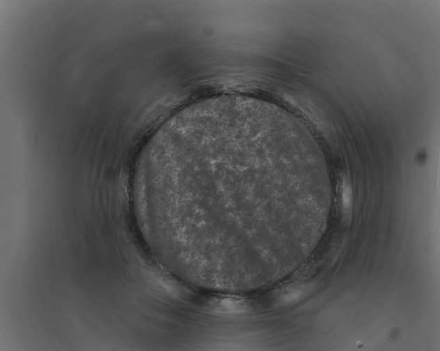 X0000094170506200711241533