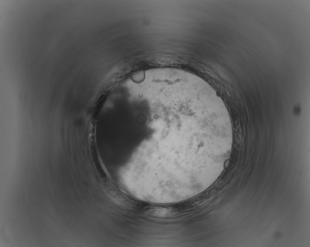 X0000094170507200711241533