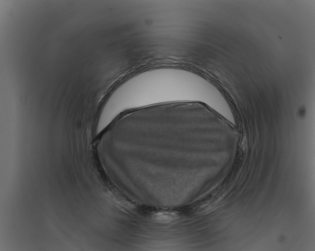 X0000094170508200711241533