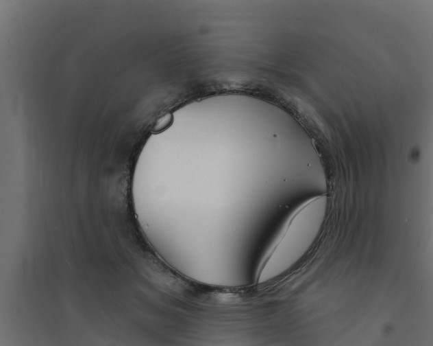 X0000094170509200711241533