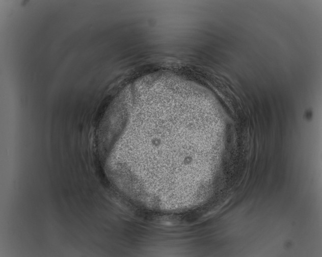 X0000094170511200711241533