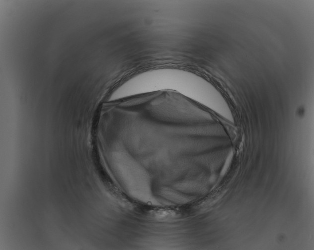 X0000094170512200711241533
