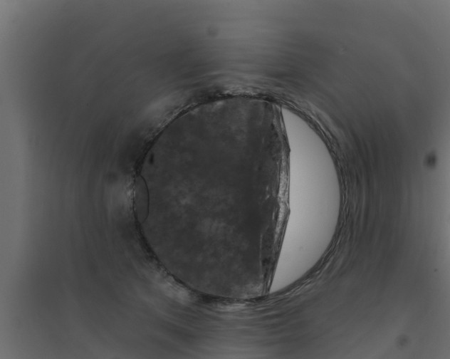 X0000094170513200711241533