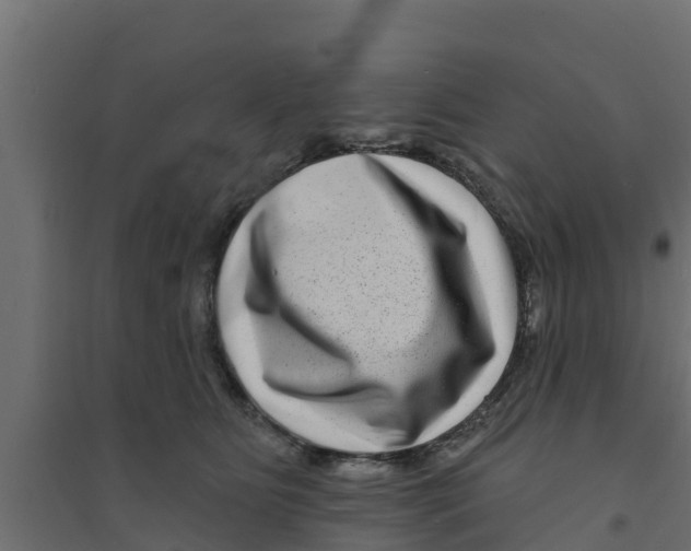 X0000094170515200711241533