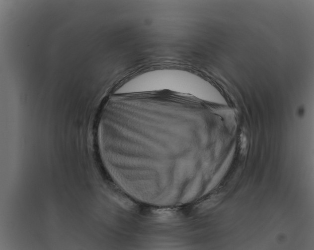X0000094170516200711241533