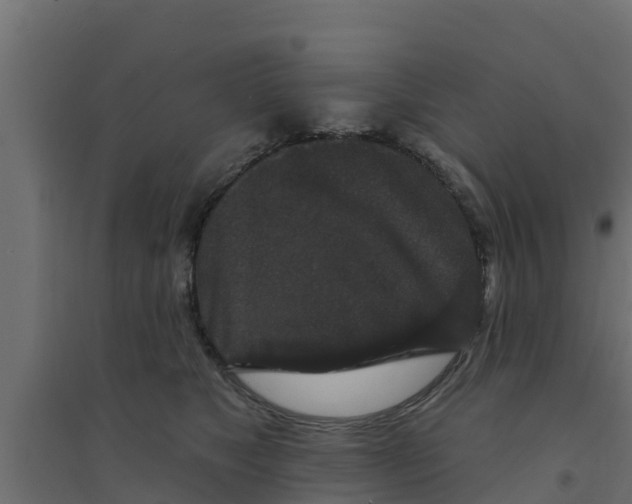 X0000094170517200711241533