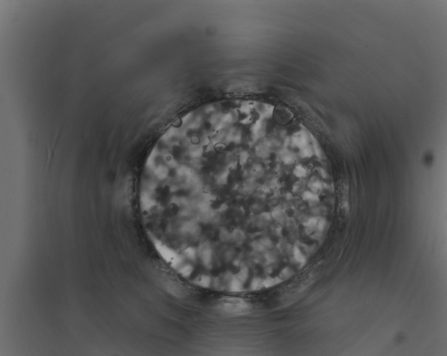 X0000094170519200711241533