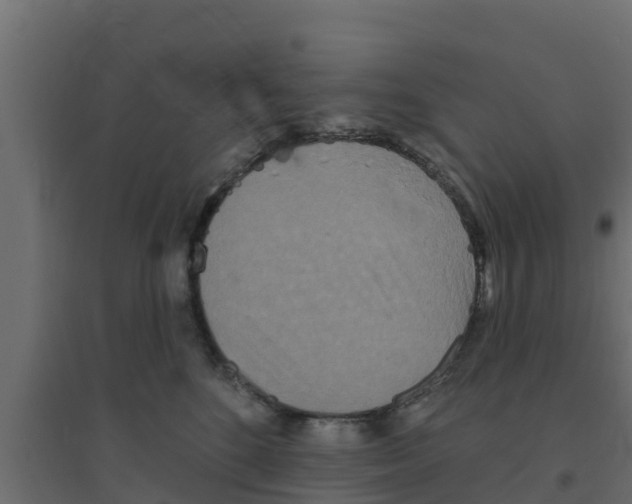 X0000094170520200711241533