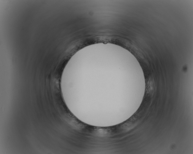 X0000094170522200711241533