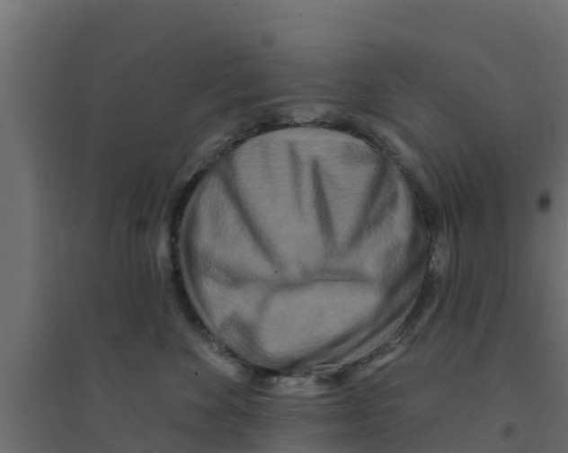 X0000094170524200711241533